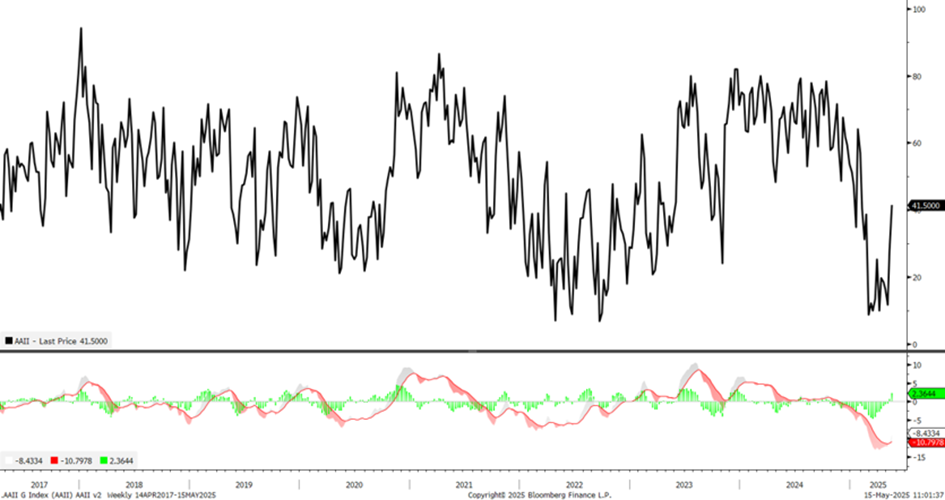 Rally has neared all-time highs after 20% down in near-record time