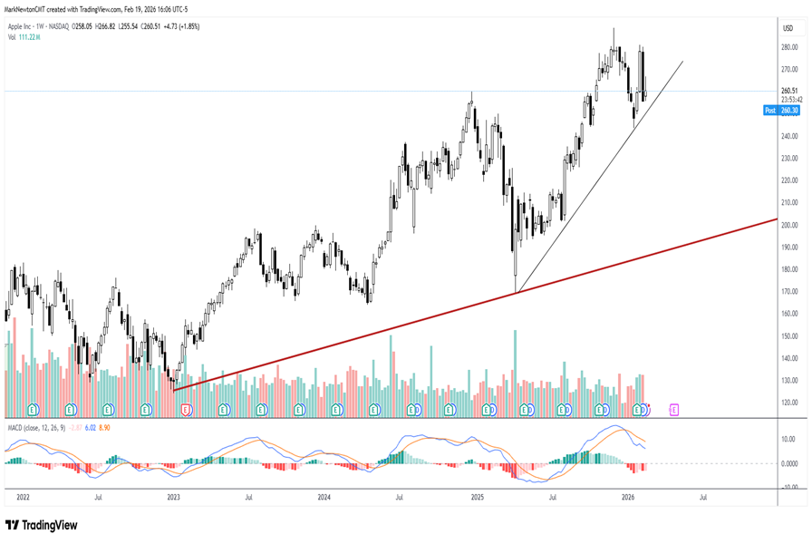 NVDA earnings and AAPL trend are key to watch over the next 2 weeks